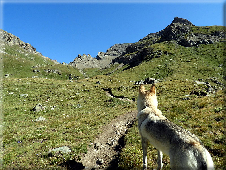 foto Monte Roisetta